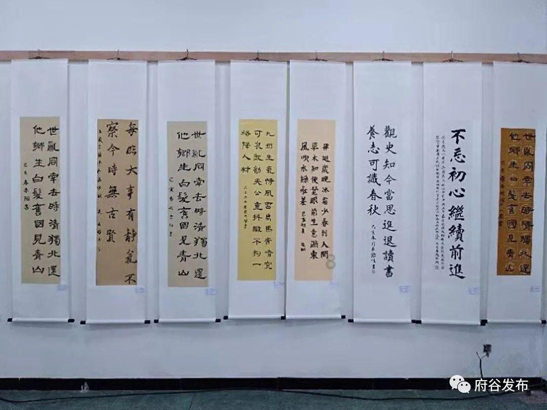 了解世界上最小的猫是什么猫?,发现更多有趣内容 - 世界上最小的猫是什么猫?红迪网